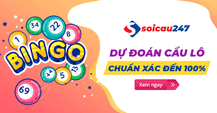 Soi- cau- 247- ngay- 31-12-2020