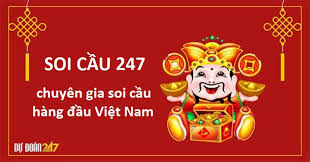 nuoi- khung- mien- bac- soi- cau- 247