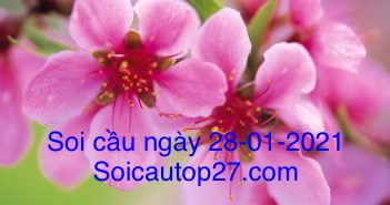 Soi- cau -ngay- 28-01-2021