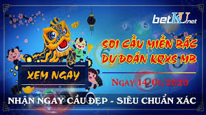 Soi- cau- ngay- 14-01-2021