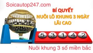 Nuoi -khung -3 -so -mien -bac