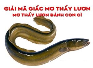 Mo- thay- con- luon- danh- con- gi