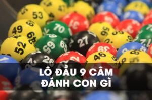 dau-9-cam-danh-con-gi