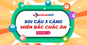 Soi-cau-3-cang-lo-mien-bac-mien-phi