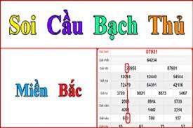 soi-cau-bach-thu